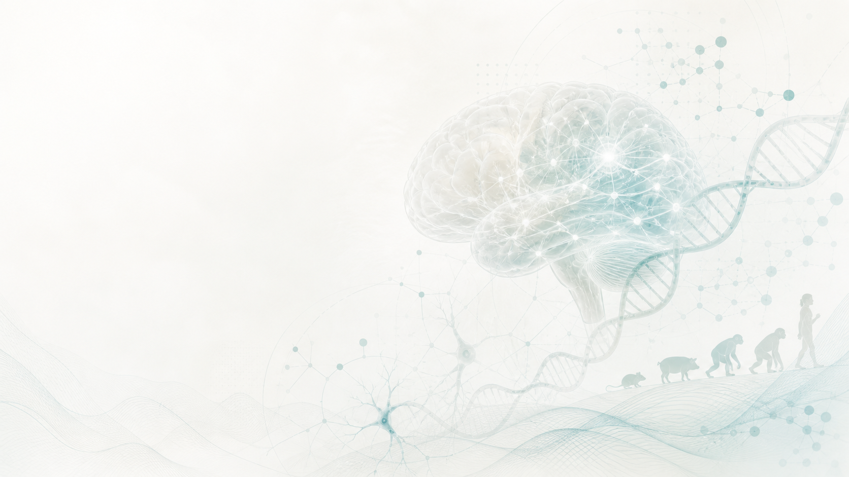 MA LAB | Decoding Human Brain Evo-Devo